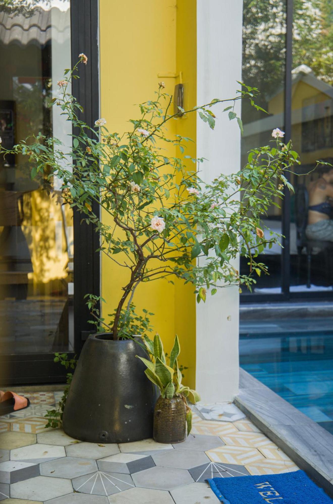 Hoi An 2Br Private Pool Villa - Walk To Old Town ホイアン エクステリア 写真