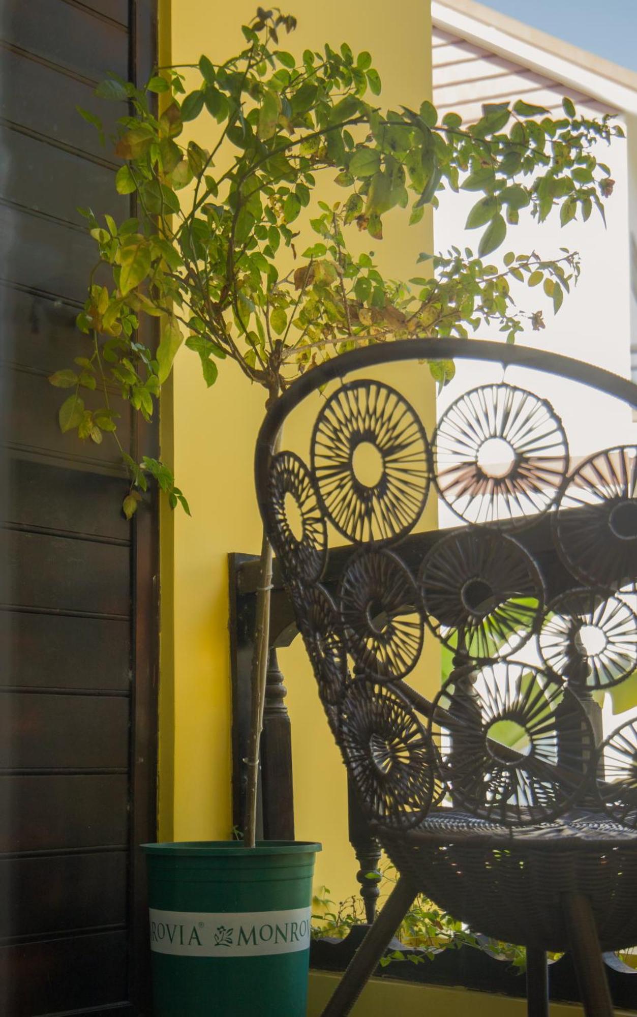 Hoi An 2Br Private Pool Villa - Walk To Old Town ホイアン エクステリア 写真